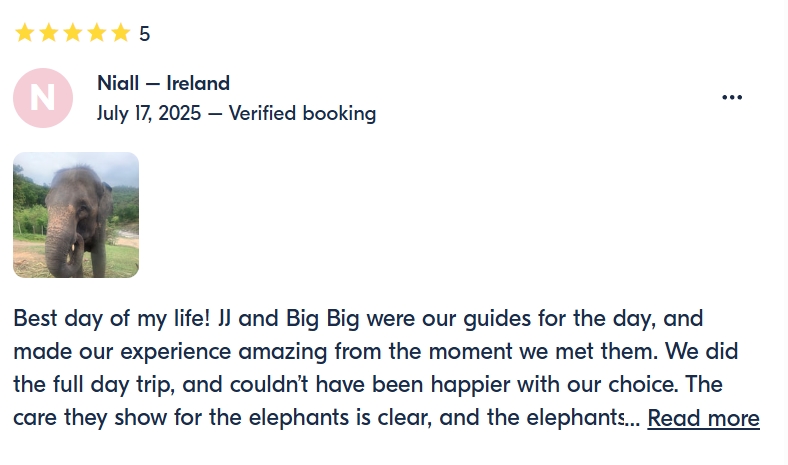 pon elephpant chiangmai thailand reviews